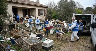  le sauvetage miracle de dizaines d’animaux