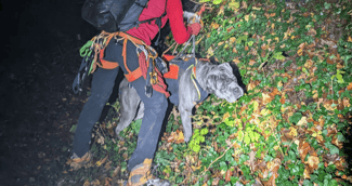 Le Cane Corso secouru par les pompiers après une chute de 35 mètres en montagne
