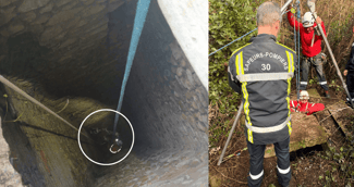 Un pompier spécialisé remontant un chien sain et sauf du fond d'un puits profond avec des cordes.