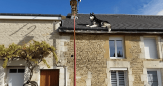 Pompiers secourant un husky coincé sur le toit d’une maison dans les Ardennes