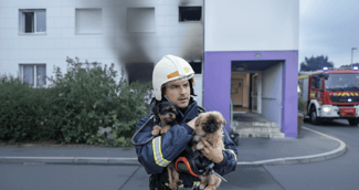 Pompiers devant un immeuble à Rennes, portant secours à des chiens après un incendie ( image d'illustration )