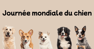 Un chien heureux célébré en famille lors de la Journée mondiale du chien, symbolisant complicité et émotion.