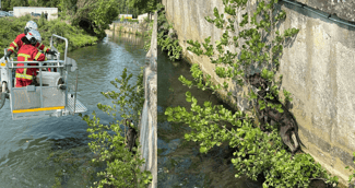 Un pompier réconforte un chien sauvé au bord de la rivière, scène pleine d’émotion
