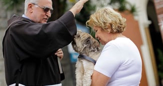 Familles réunies à l’église Sainte-Catherine de Honfleur pour la bénédiction des animaux