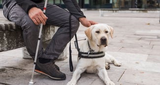 Un homme malvoyant accompagné de sa chienne guide devant un restaurant, expression de détermination et frustration