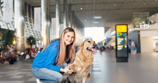 Chien recevant des caresses de voyageurs dans un terminal d’aéroport