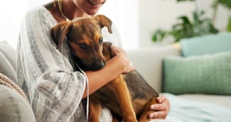 Signature au palais Verdun entre le parquet général et la CNDA pour protéger chiens et chats victimes de maltraitance.