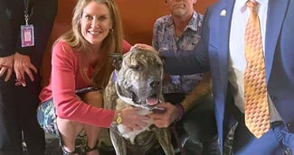 Ethan, un chien qui a survécu à l'abandon et inspiré une loi dans le Kentucky, USA