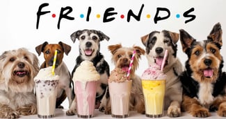 Friends : Twist canin si les personnage de la série étaient en réalité des chiens ?