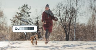 Promener son chien en hiver