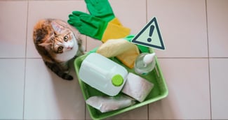 produits d'intérieur toxiques pour les chats