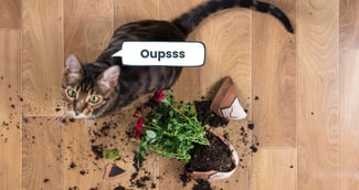 Le chat a renversé un pot de fleurs.