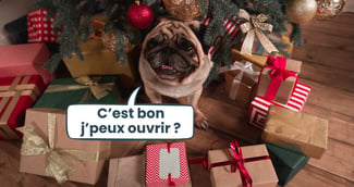 cadeaux de Noël chien