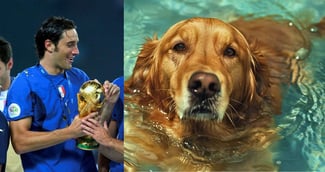 Luca Toni  et son chien Golden Retriever refuser dans un club privé
