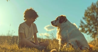 Retrouvailles émouvantes entre un jeune garçon et son chien perdu dans un parc ensoleillé.