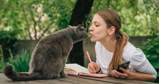 chat préférence