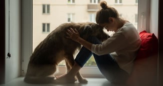 Le lien émotionnel entre les humains et les chiens 