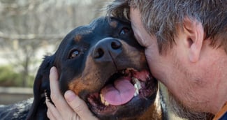 Un homme triste réconforté par un Rottweiler 