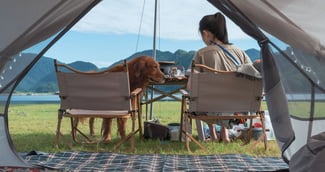 chien camping