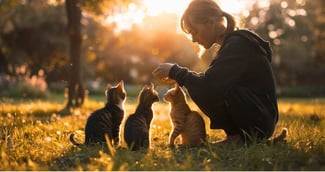 Une femme tendant la main à trois chats abandonnés dans un parc au crépuscule