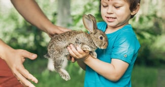 comment attrapper un lapin